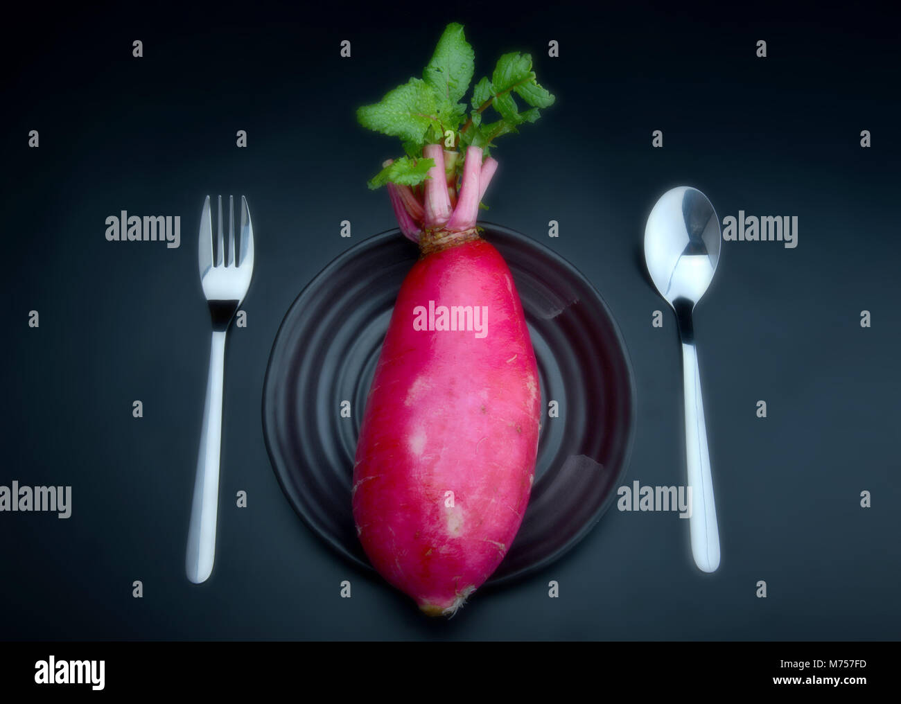 Concept est je suis végétarienne dieter par manger les radis roses fraîches et appliquée et peu souple photo Blur Banque D'Images