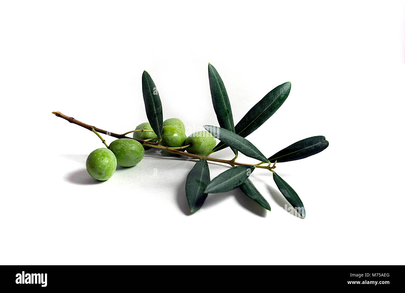 Olives vertes sur la tige Banque D'Images
