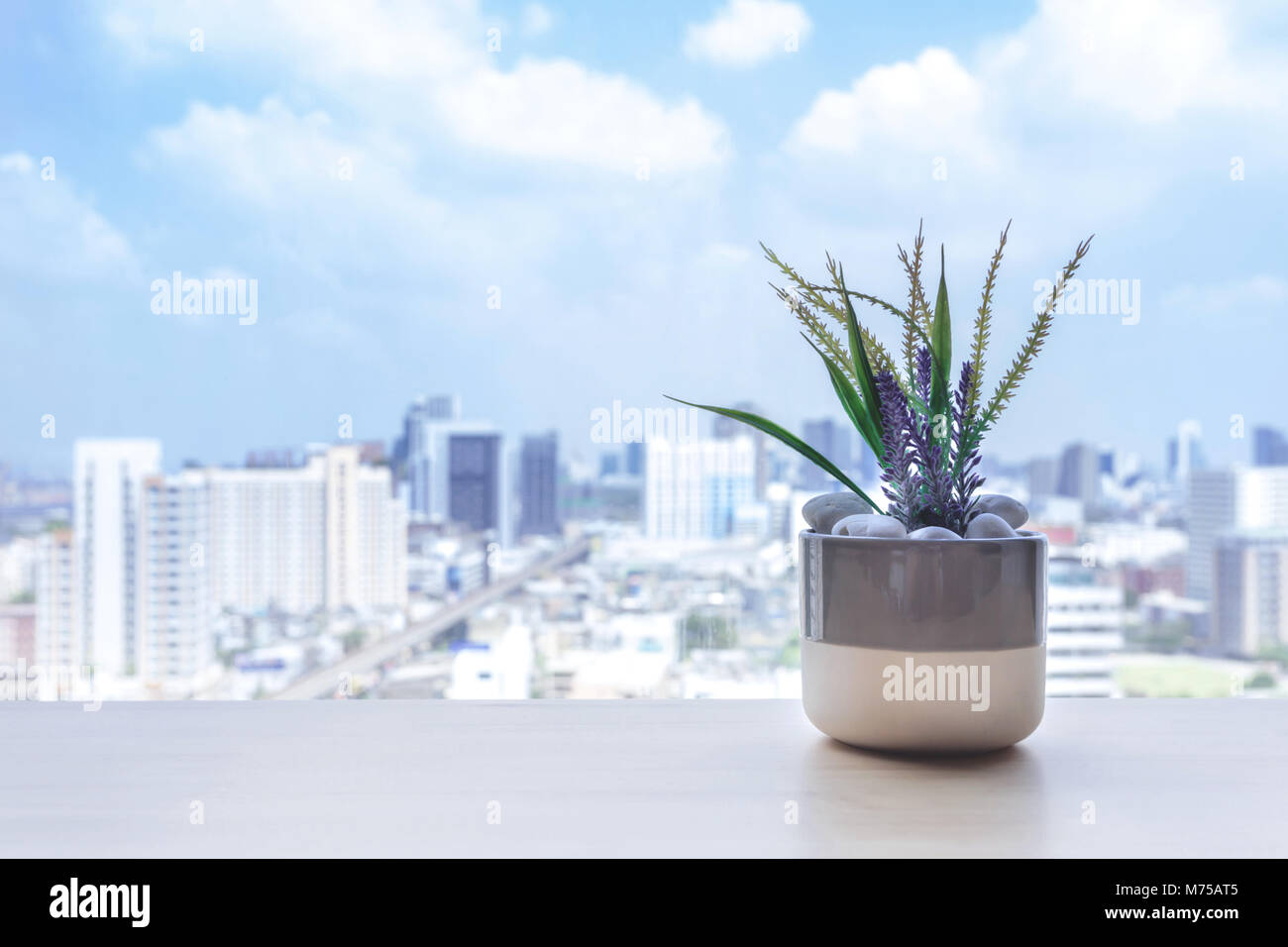 Pot de fleurs sur la table en bois à la fenêtre de la salle de séjour en appartement avec vue sur la ville. de vie urbain concept avec copie espace. Banque D'Images