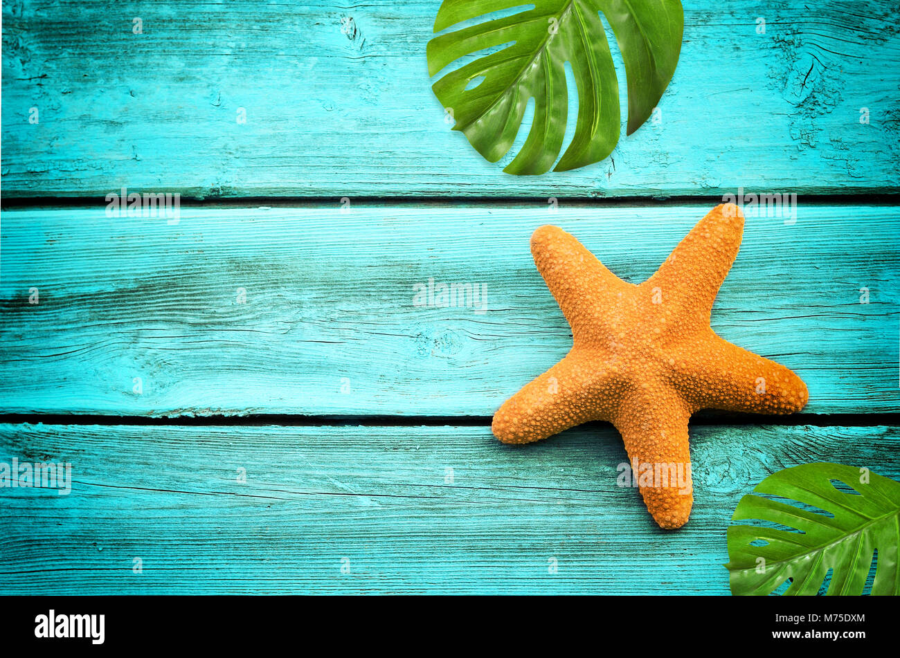 Fond de mer en été. Les étoiles de mer et de palmiers sur fond de bois bleu. Banque D'Images