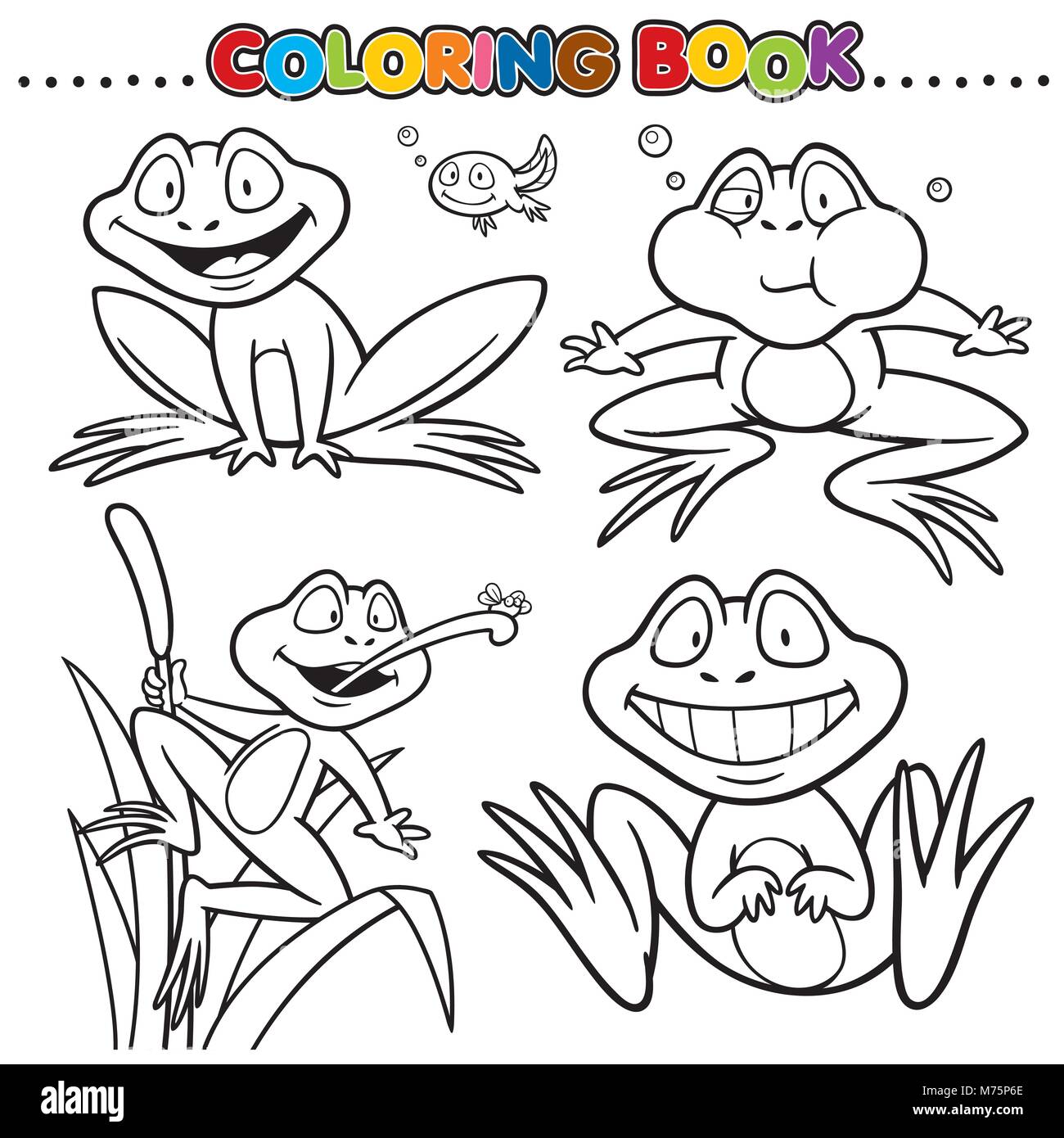 Dessins A Colorier Grenouille Image Vectorielle Stock Alamy