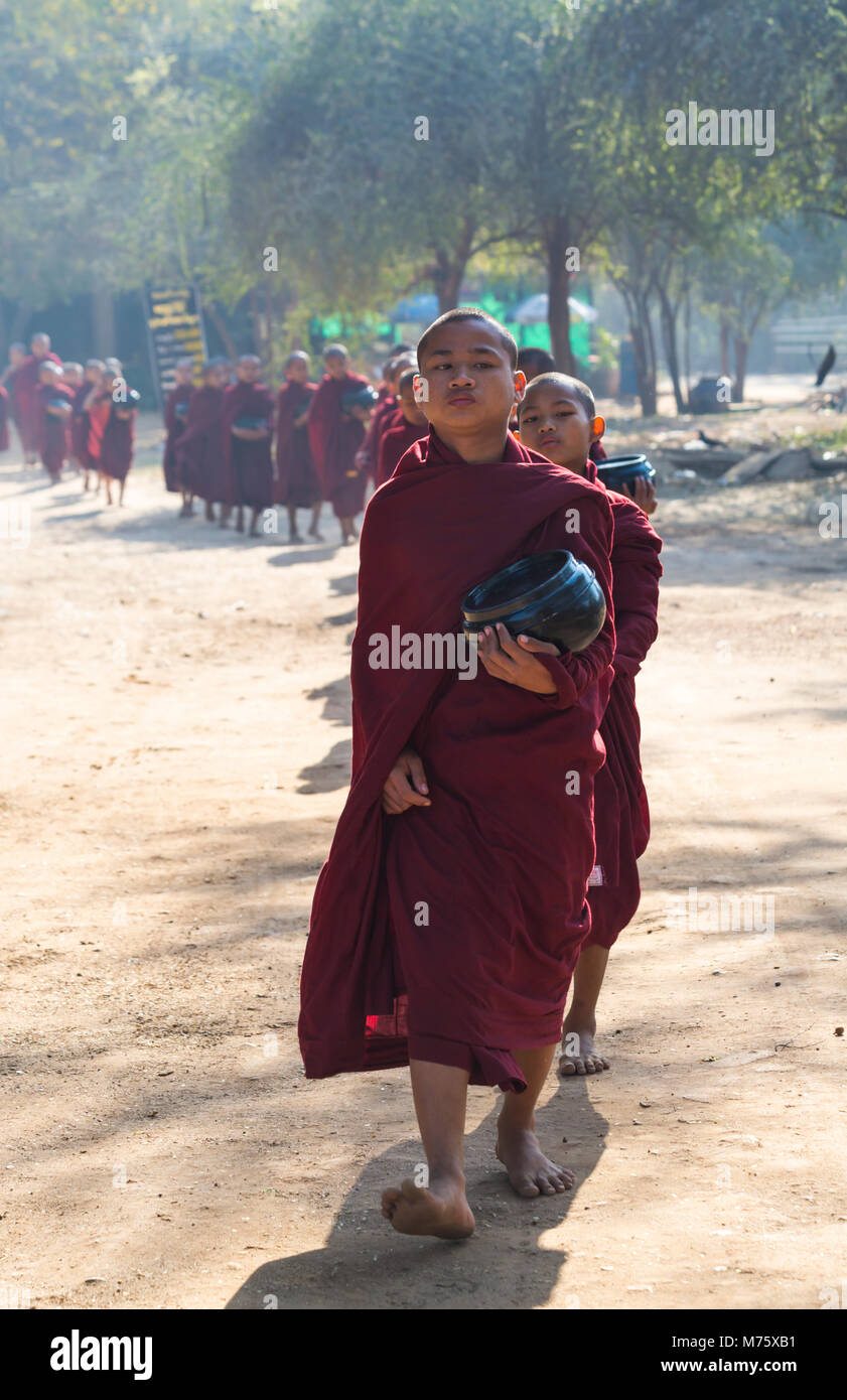 Procession de moines bouddhistes collectant des almes à Bagan, Myanmar (Birmanie), Asie en février Banque D'Images