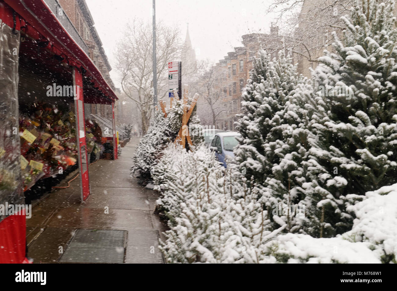 La neige a couvert des arbres de Noël à vendre à un deli alignées sur un trottoir de Brooklyn au cours d'une neige légère. Banque D'Images