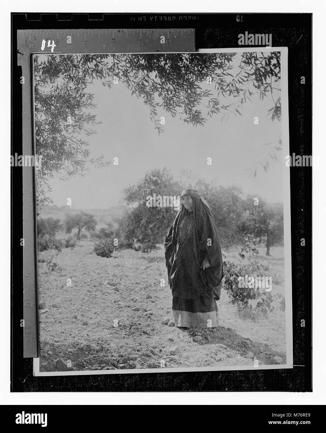 Une représentation de Ruth la Moabitesse, une figure centrale dans le Livre biblique de Ruth. L'image montre Ruth dans un contexte historique ou religieux, soulignant son importance dans la tradition judéo-chrétienne. Banque D'Images