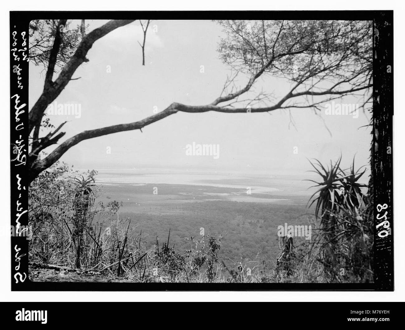 Une photographie du lac Sode, situé dans la vallée du Rift près de Ngorongoro, Tanzanie. L'image capture la beauté naturelle étonnante du lac et de son paysage environnant en Afrique de l'est. Banque D'Images