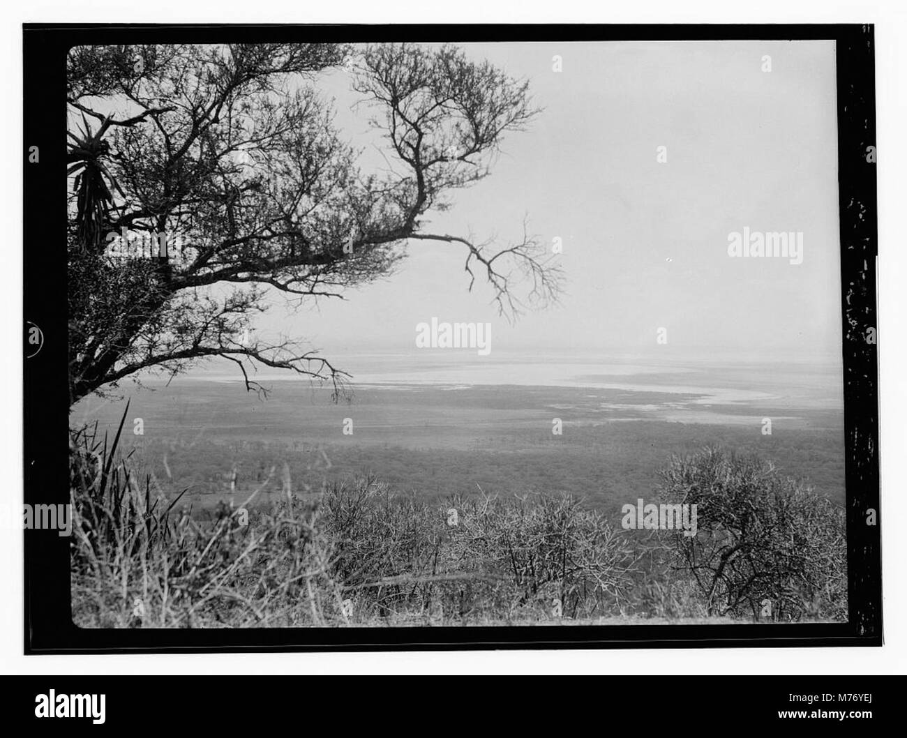 Sode Lake dans la vallée du Rift et près de Ngoro Ngoro LOC.13857 matpc Banque D'Images