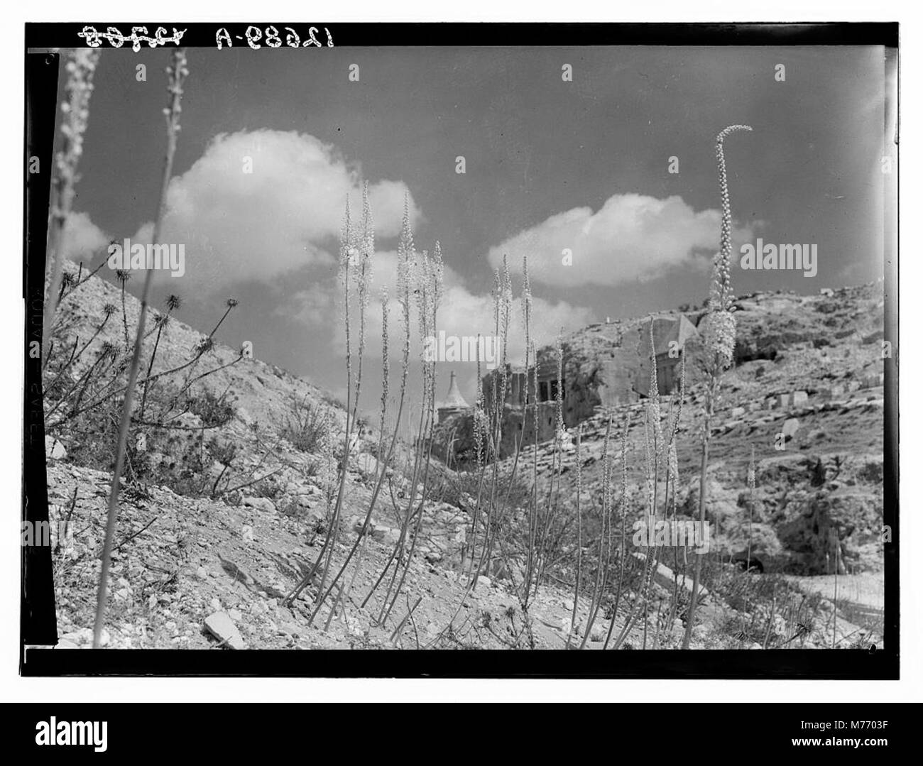 Une vue panoramique de Squills dans la vallée de Kidron, avec nuages et ciel au-dessus, et le pilier d’Absalom visible au loin. Cet endroit a une signification religieuse et historique. Banque D'Images Une vue panoramique de Squills dans la vallée de Kidron, avec nuages et ciel au-dessus, et le pilier d’Absalom visible au loin. Cet endroit a une signification religieuse et historique. Banque D'Images
