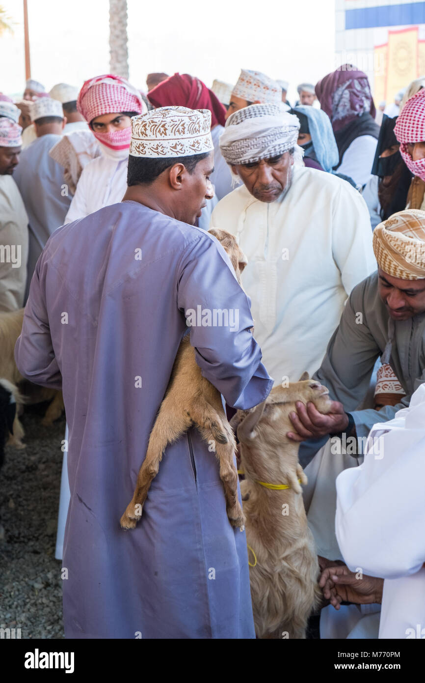 Scène sur le marché, la chèvre de Nizwa Nizwa, Sultanat d'Oman Banque D'Images