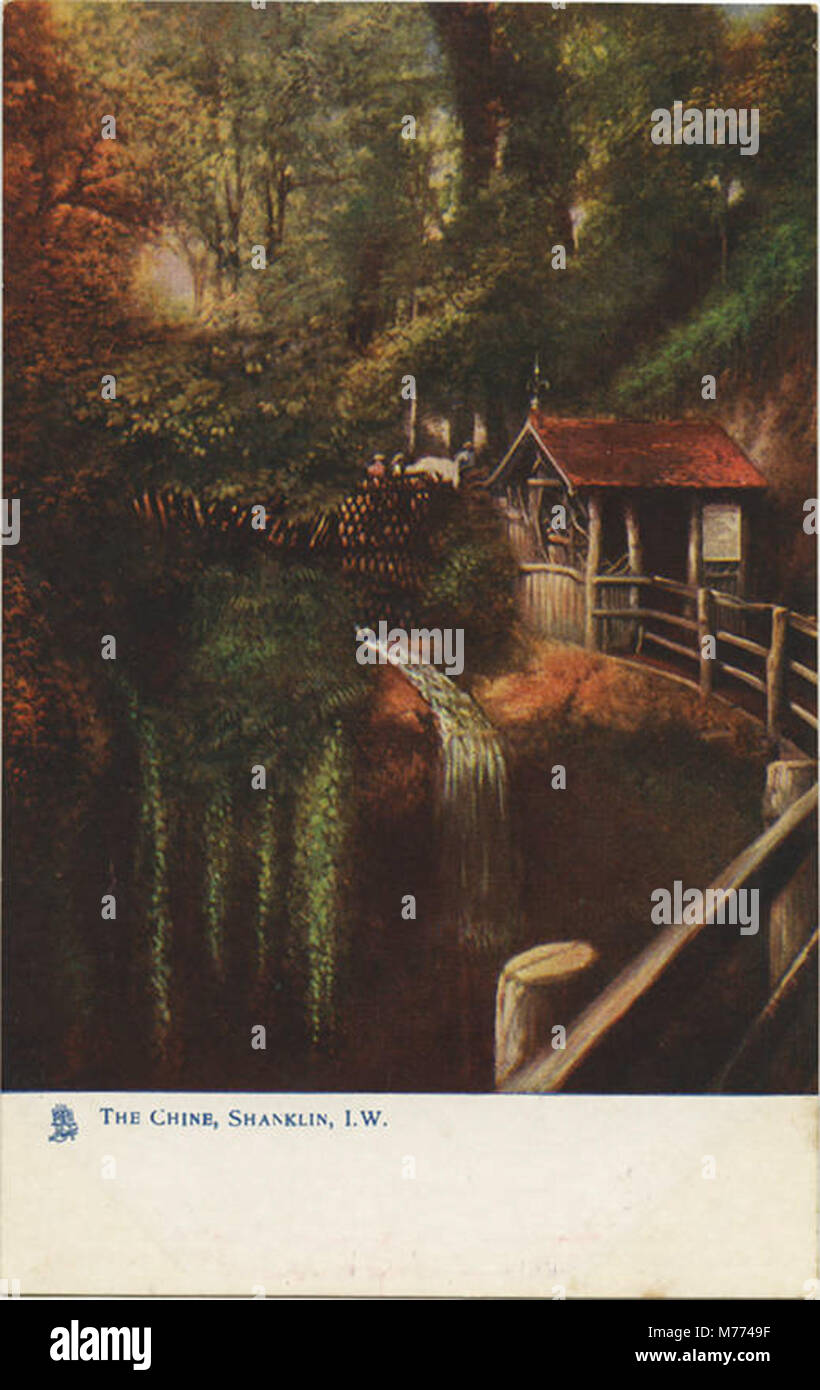 Une photographie panoramique de la Chine à Shanklin sur l'île de Wight, mettant en valeur le paysage naturel et le littoral de cette région pittoresque du sud de l'Angleterre. Banque D'Images