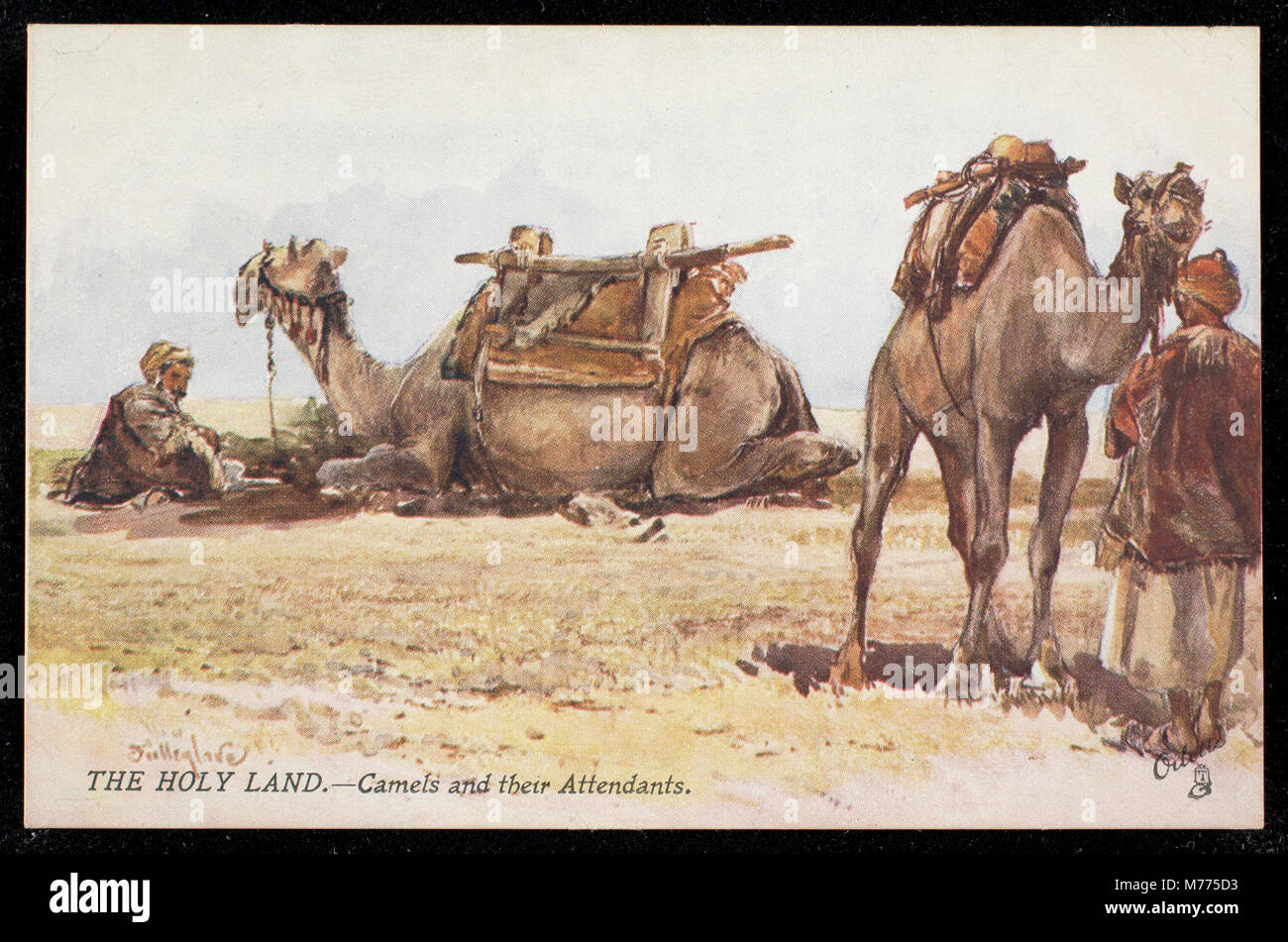 La Terre Sainte.--les chameaux et leur accompagnateur (NPAR) 439899 Banque D'Images