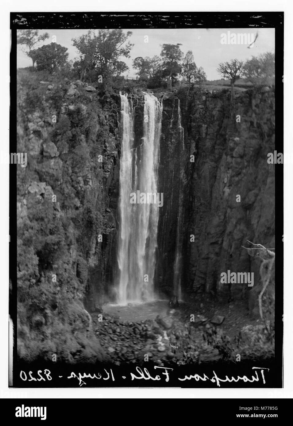 Cette image capture une vue panoramique des chutes Thompson au Kenya, mettant en évidence la beauté naturelle et l'environnement luxuriant qui entoure la cascade. Banque D'Images