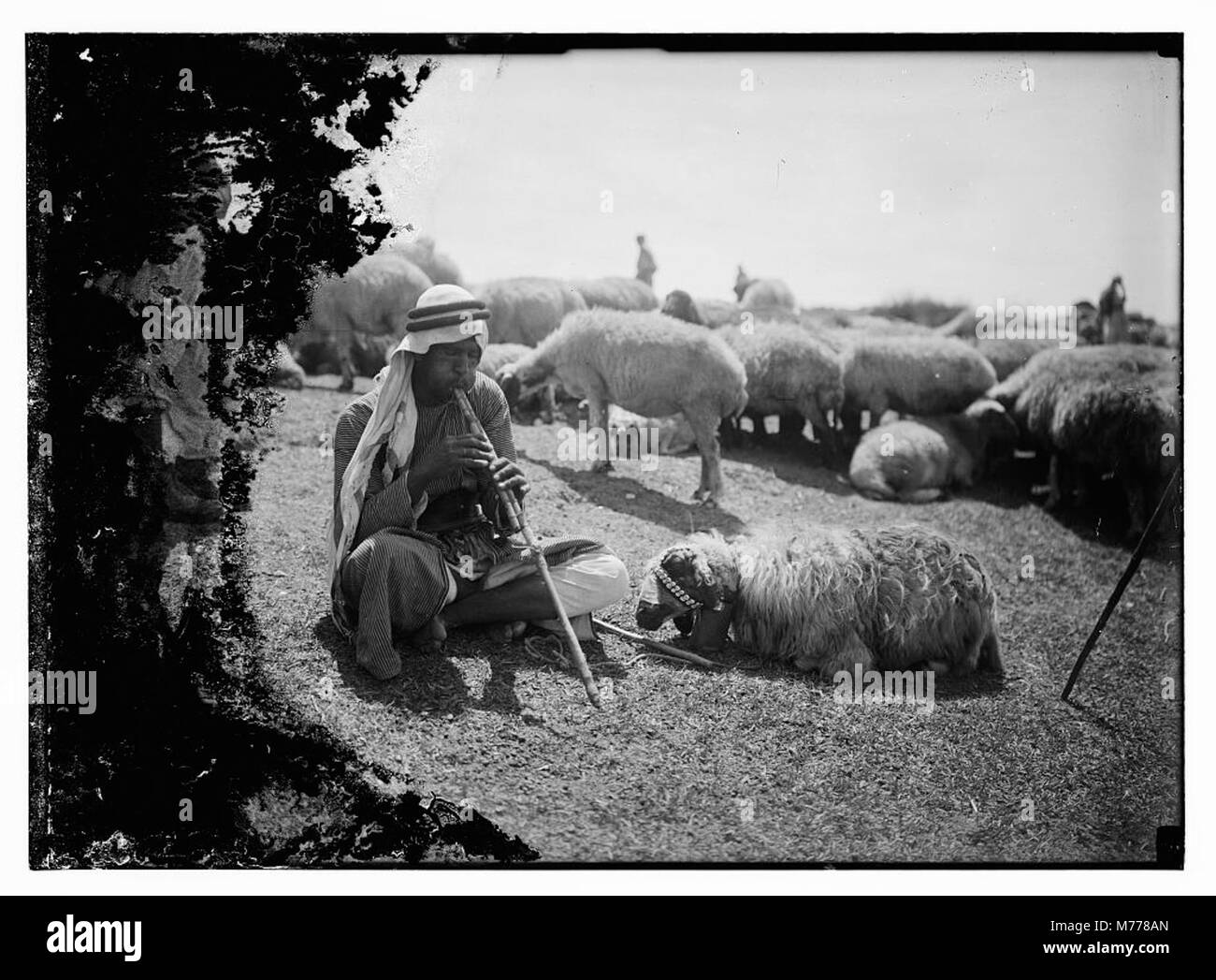 Cette image représente une scène inspirée du 23e Psaume, montrant un pâturage paisible avec des moutons, symbolisant le confort et la direction divine. Banque D'Images