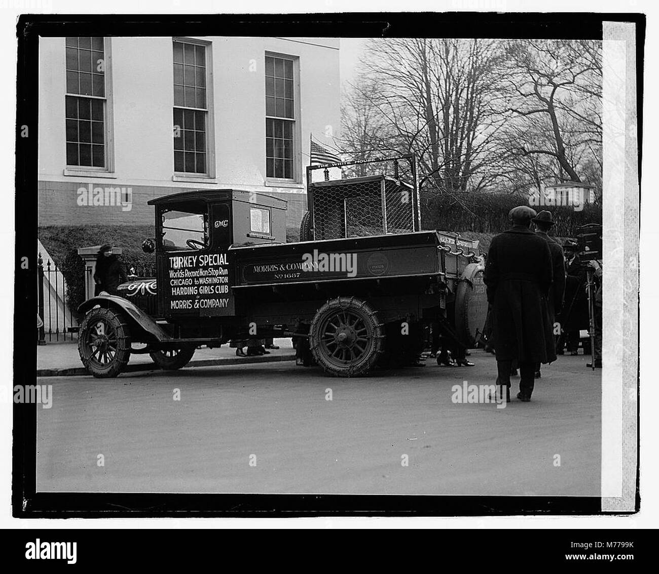 Un camion transportant une dinde à la Maison Blanche, reflétant la tradition des grâces de dinde de Thanksgiving à la résidence présidentielle américaine. Banque D'Images Un camion transportant une dinde à la Maison Blanche, reflétant la tradition des grâces de dinde de Thanksgiving à la résidence présidentielle américaine. Banque D'Images