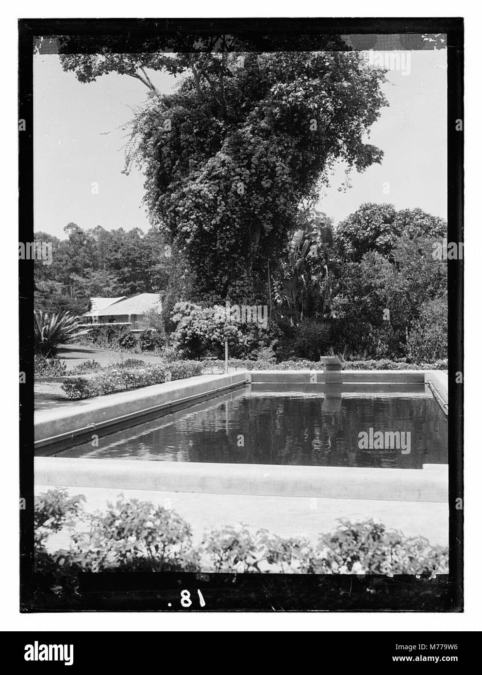 Une vue de la piscine en plein air de la Government House à Entebbe, Ouganda, mettant en valeur l'architecture de l'époque coloniale. Banque D'Images
