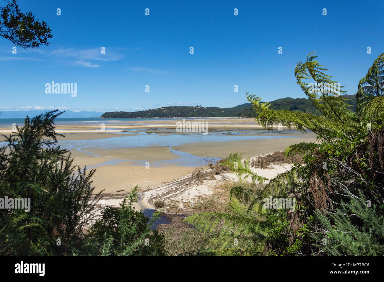 Baie de sable de la côte de piste de marche, parc national Abel Tasman Marahau, Tasman Bay,, district de Tasmanie, Nouvelle-Zélande Banque D'Images