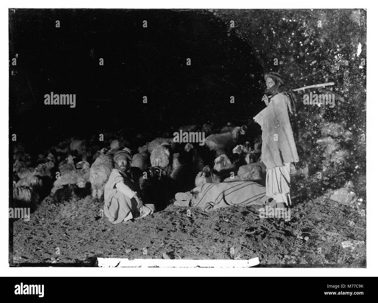 Psaume 23, les moutons LOC.10091 matpc Banque D'Images