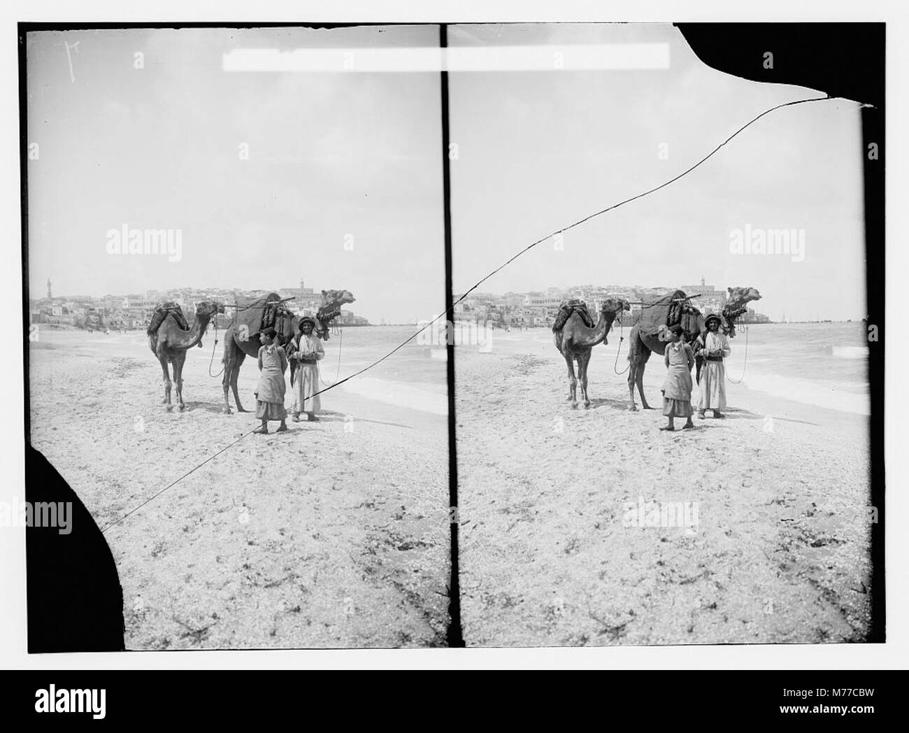 Une photographie montrant la vue de Jaffa, Israël, depuis la plage nord, mettant en évidence le paysage côtier et la ligne d'horizon historique de la ville. Banque D'Images