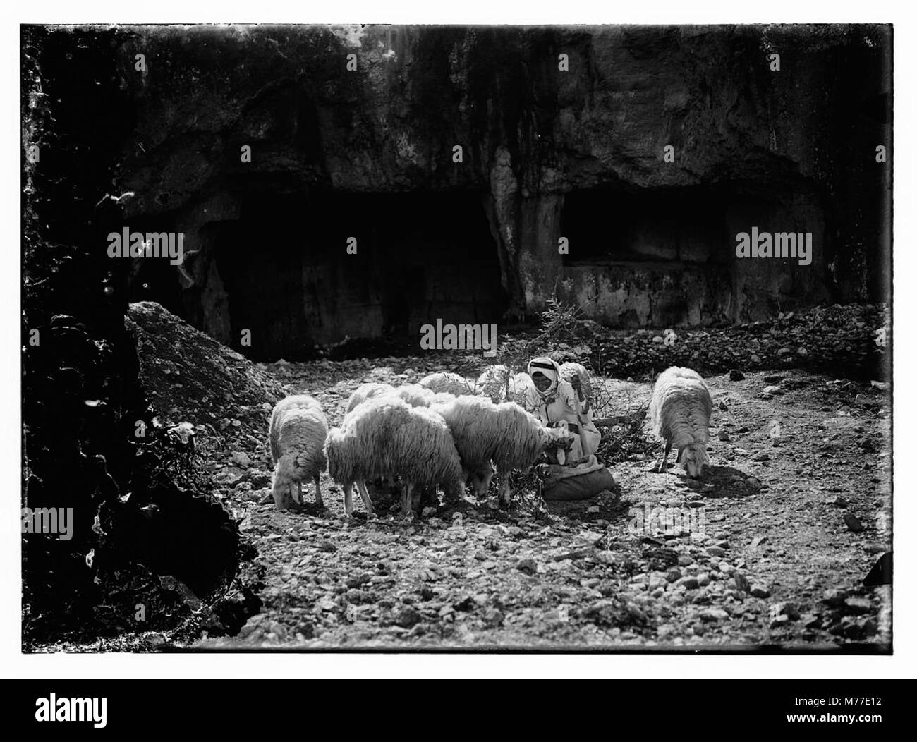 Cette image représente le 23e Psaume, illustrant un troupeau de moutons dans un paysage paisible et serein, symbolisant la paix spirituelle et l'orientation. Banque D'Images