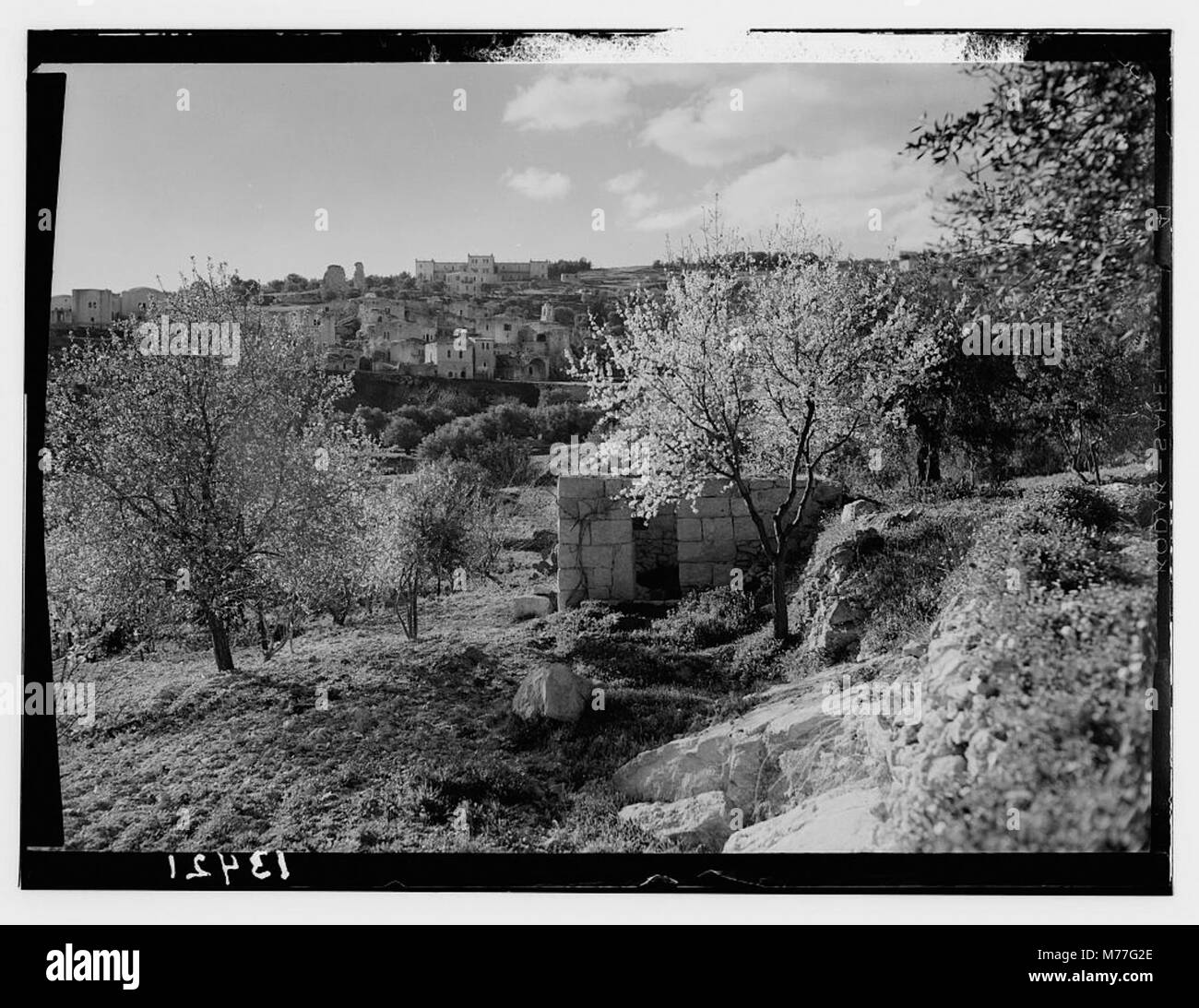 Une photographie de Béthanie, vue de l'est, représentant un amandier en fleur, associé à la « vie de notre Seigneur » et capturant un paysage biblique clé. Banque D'Images Une photographie de Béthanie, vue de l'est, représentant un amandier en fleur, associé à la « vie de notre Seigneur » et capturant un paysage biblique clé. Banque D'Images