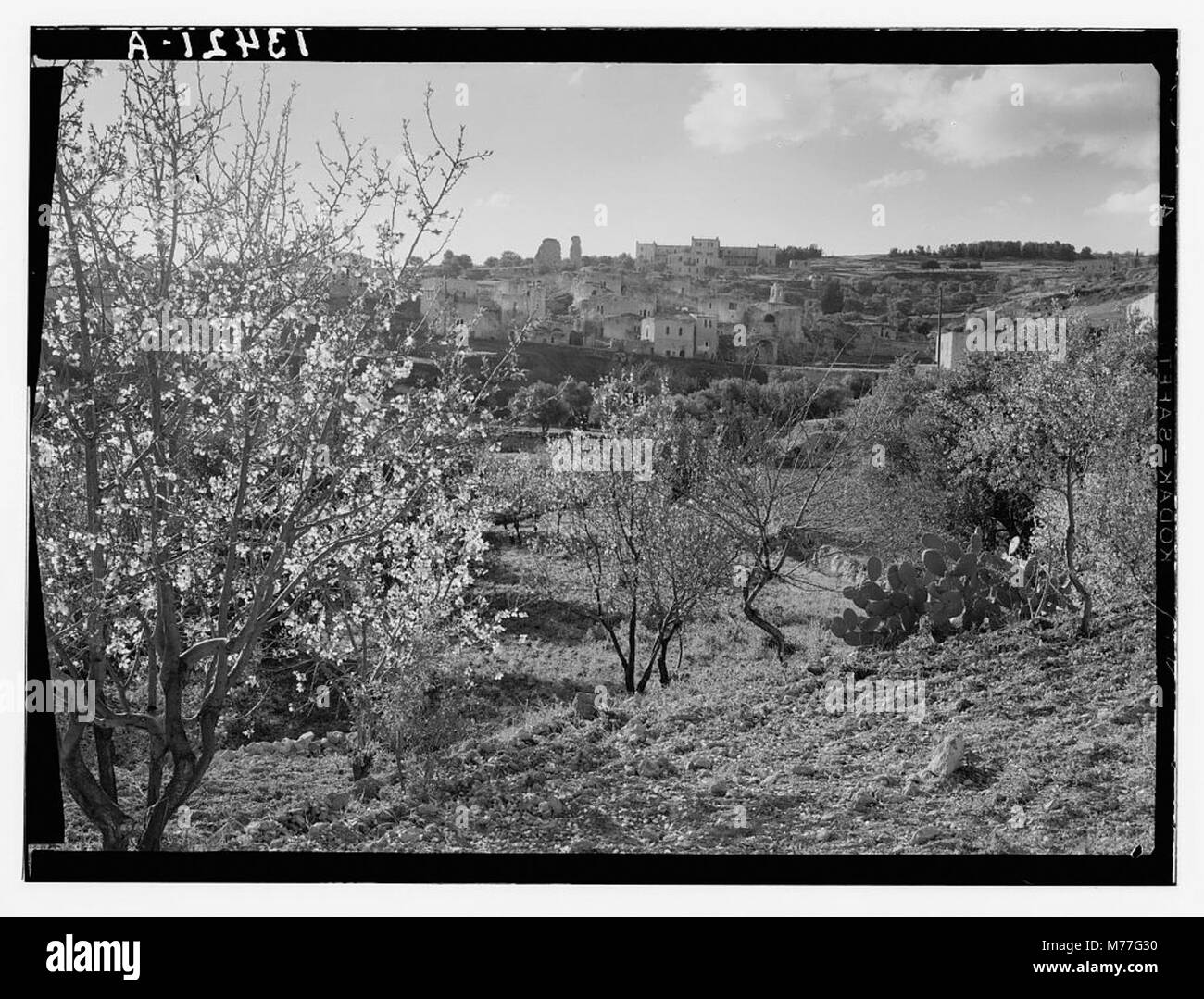Une vue de Béthanie depuis l'est, avec un amandier en fleurs, présenté dans l'œuvre d'art 'Life of Our Lord', soulignant le cadre biblique et la beauté naturelle de la région. Banque D'Images Une vue de Béthanie depuis l'est, avec un amandier en fleurs, présenté dans l'œuvre d'art 'Life of Our Lord', soulignant le cadre biblique et la beauté naturelle de la région. Banque D'Images