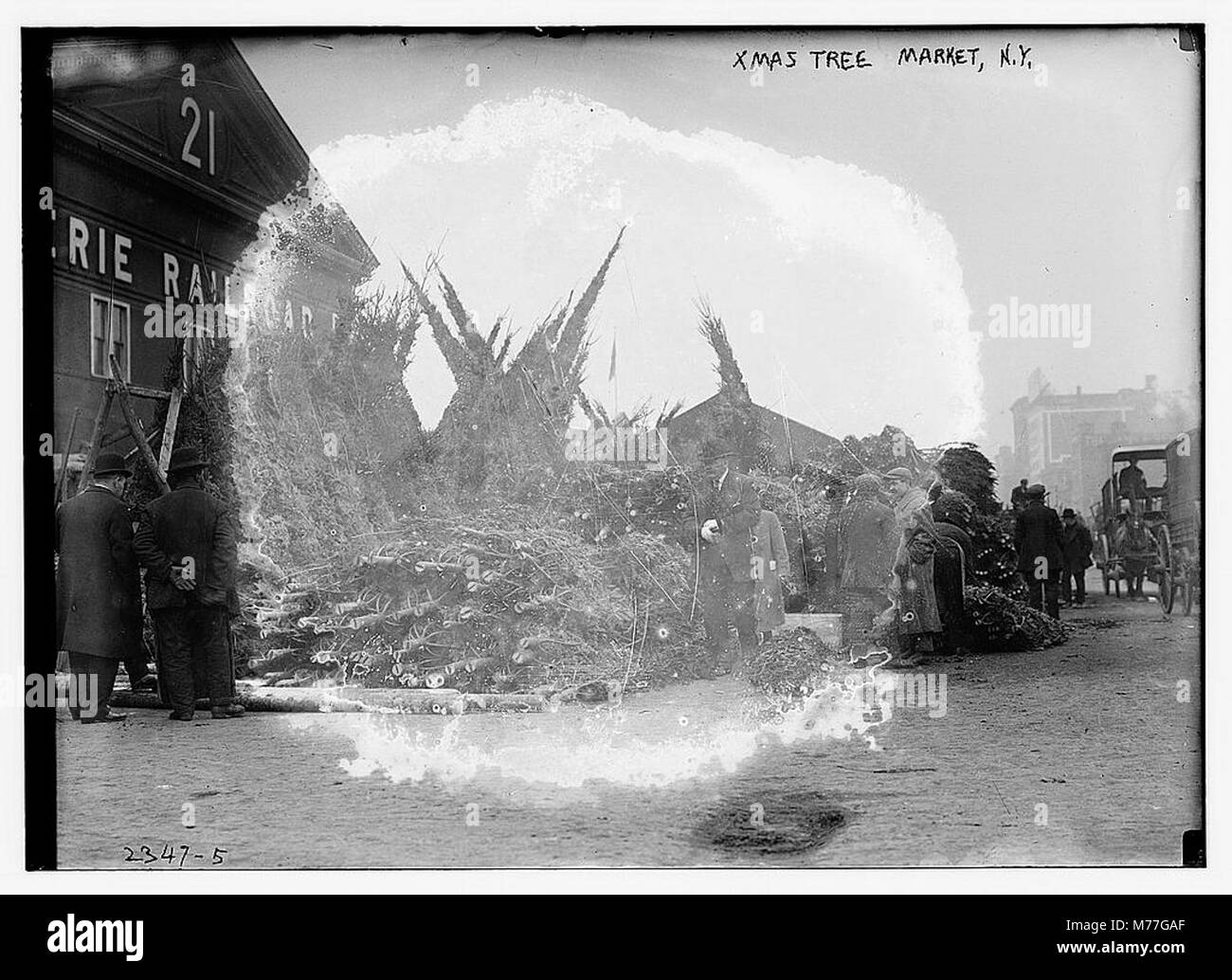 Cette image capture le marché animé des arbres de Noël à New York, mettant en valeur une scène de vacances traditionnelle avec des vendeurs vendant des arbres pendant la saison de Noël. Banque D'Images