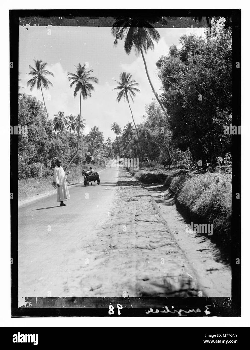 Une vue de Zanzibar, une île au large de la côte de Tanzanie, connue pour son importance historique dans le commerce des épices, son riche patrimoine culturel et sa beauté côtière. Banque D'Images