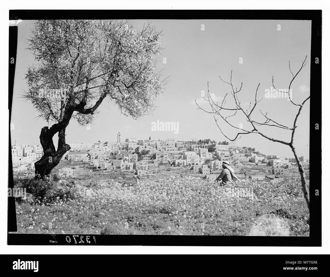 Cette photographie montre une vue de Bethléem depuis le sud, mettant en évidence le contexte historique et géographique de la ville. L'image capture son paysage et les environs de cet important site religieux. Banque D'Images