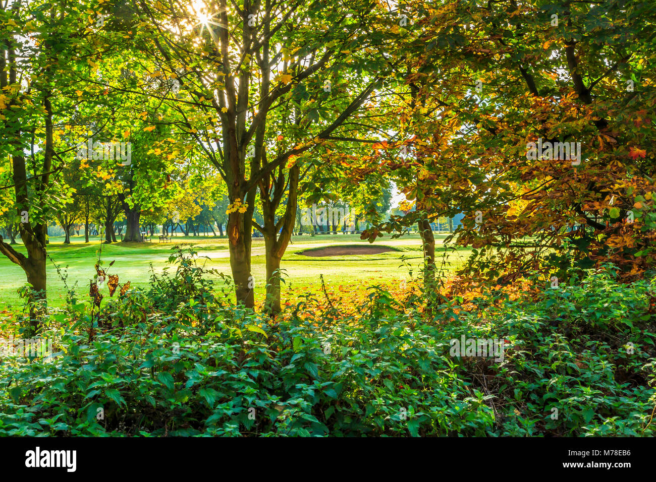 Golf à Himley Hall à Dudley, West Midlands. Banque D'Images