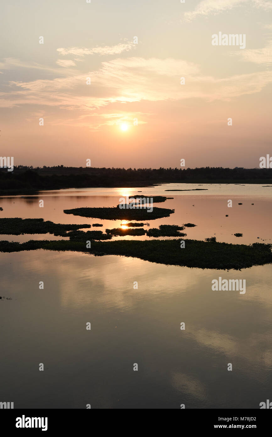 Coucher du soleil sur la rivière, Tamilnadu, Inde. Banque D'Images