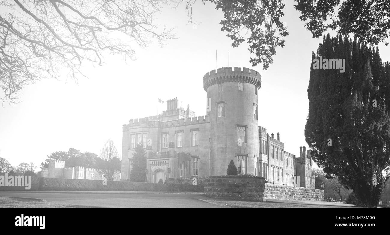 Beau paysage noir et blanc photographie d'un vieux château celtique irlandais Irlande pittoresque . château situé dans une forêt Banque D'Images