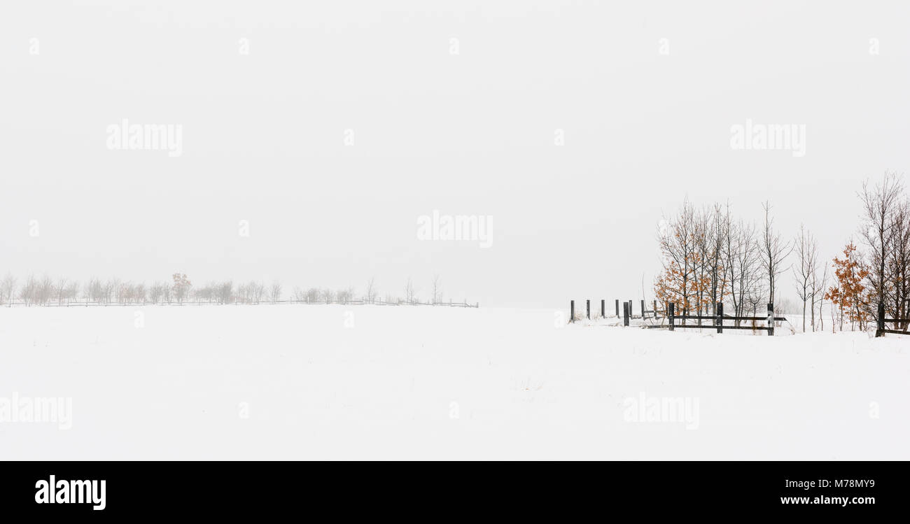 Panorama hiver neige scène minimaliste paysage brumeux Banque D'Images
