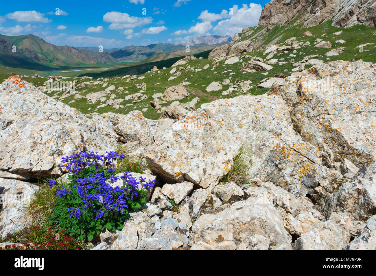 Kurumduk Kel-Suu vallée, lac, province de Naryn, du Kirghizistan, de l'Asie centrale, d'Asie Banque D'Images