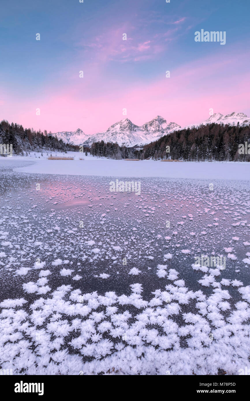 Des cristaux de glace, da Capital, Saint-Moritz, Engadine, canton de Grisons (Grisons), Suisse, Europe Banque D'Images