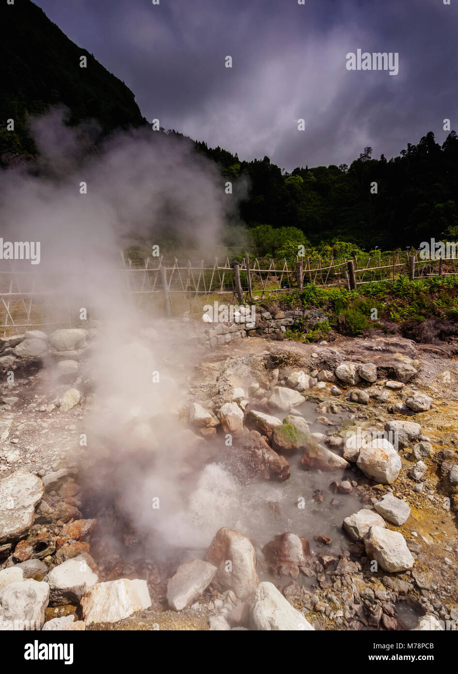 Fumarolas da Lagoa das Furnas, hot springs, l’île de São Miguel, Açores