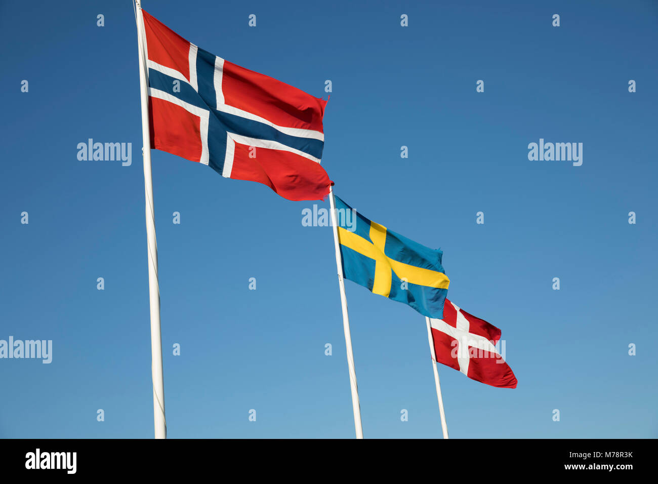 Les drapeaux des pays scandinaves contre ciel bleu, Hornbæk, le Kattegat, la Nouvelle-Zélande, le Danemark, la Scandinavie, l'Europe Banque D'Images