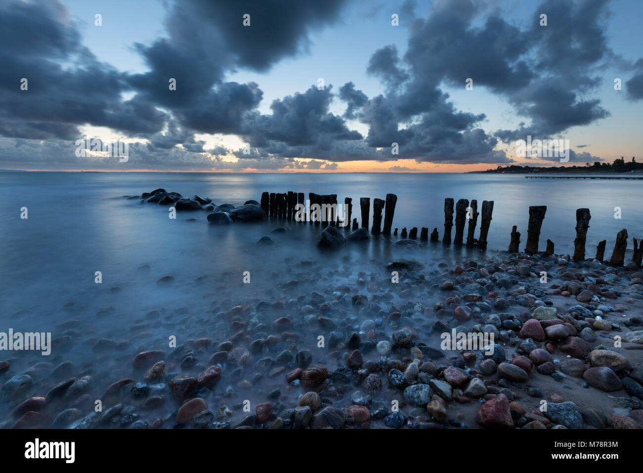 Vieux pieux en bois aller en mer et de galets sur la plage à l'aube, Munkerup, le Kattegat, la Nouvelle-Zélande, le Danemark, la Scandinavie, l'Europe Banque D'Images