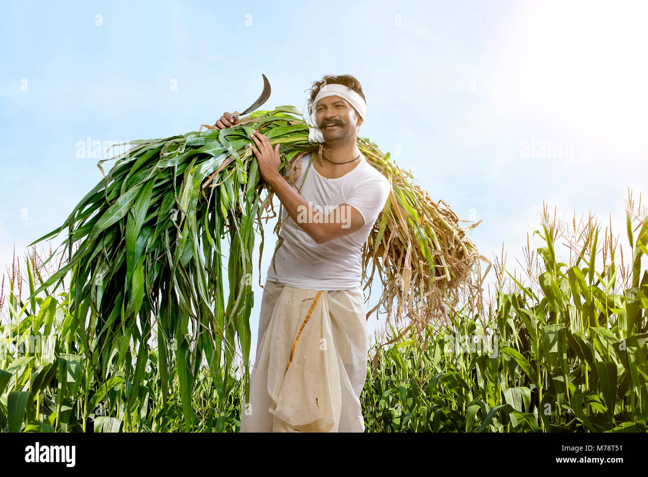 Farmer holding la drépanocytose et les cultures Banque D'Images