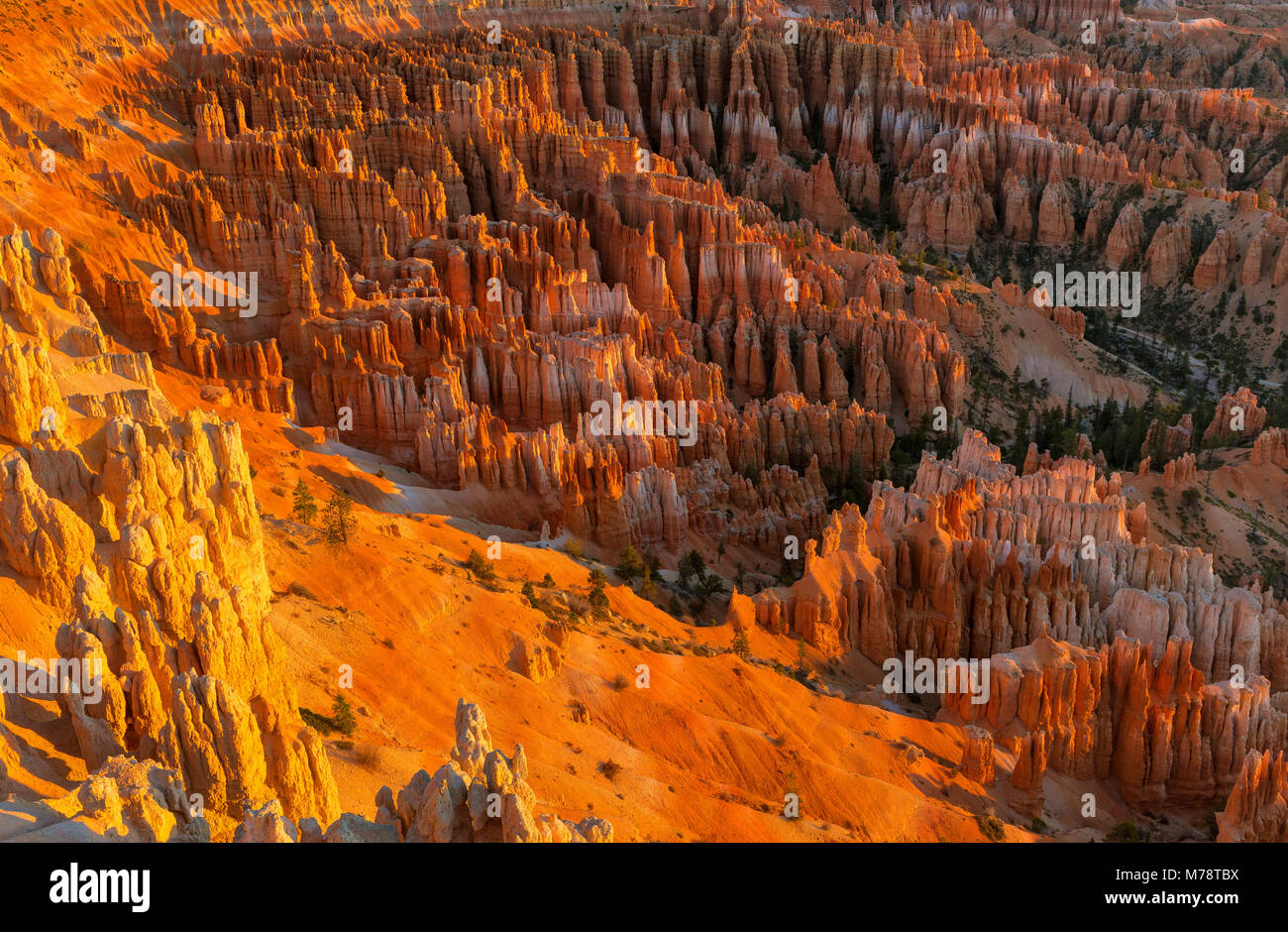 Le lever du soleil, Wall Street, le Parc National de Bryce Canyon, Utah Banque D'Images