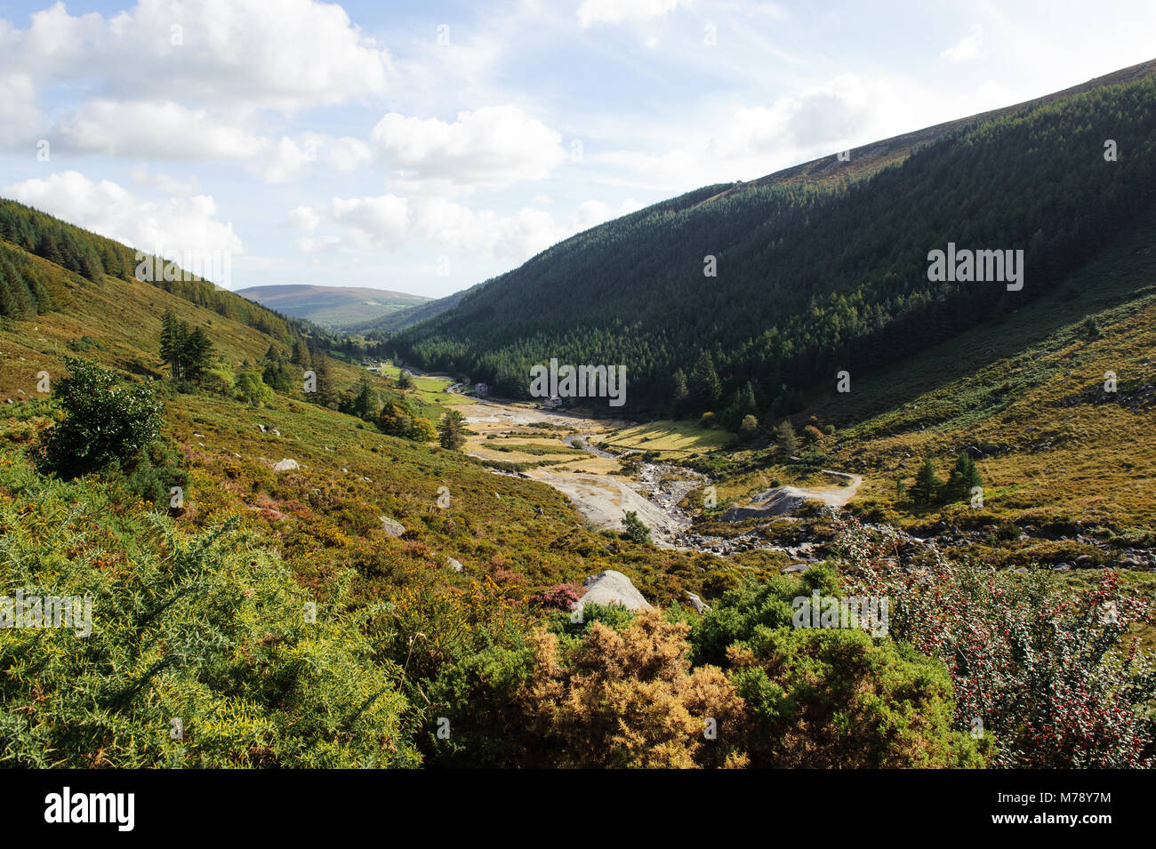 Belle vue sur la vallée en Glendasan , Co Wicklow, Irlande Banque D'Images