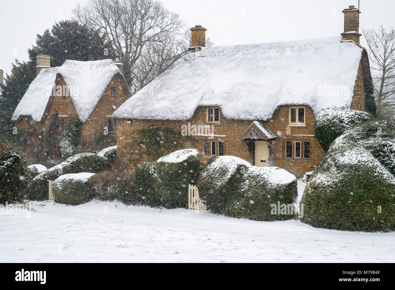 Thatched cottage en pierre dans la neige de l'hiver. Great Tew, Cotswolds, Oxfordshire, Angleterre Banque D'Images