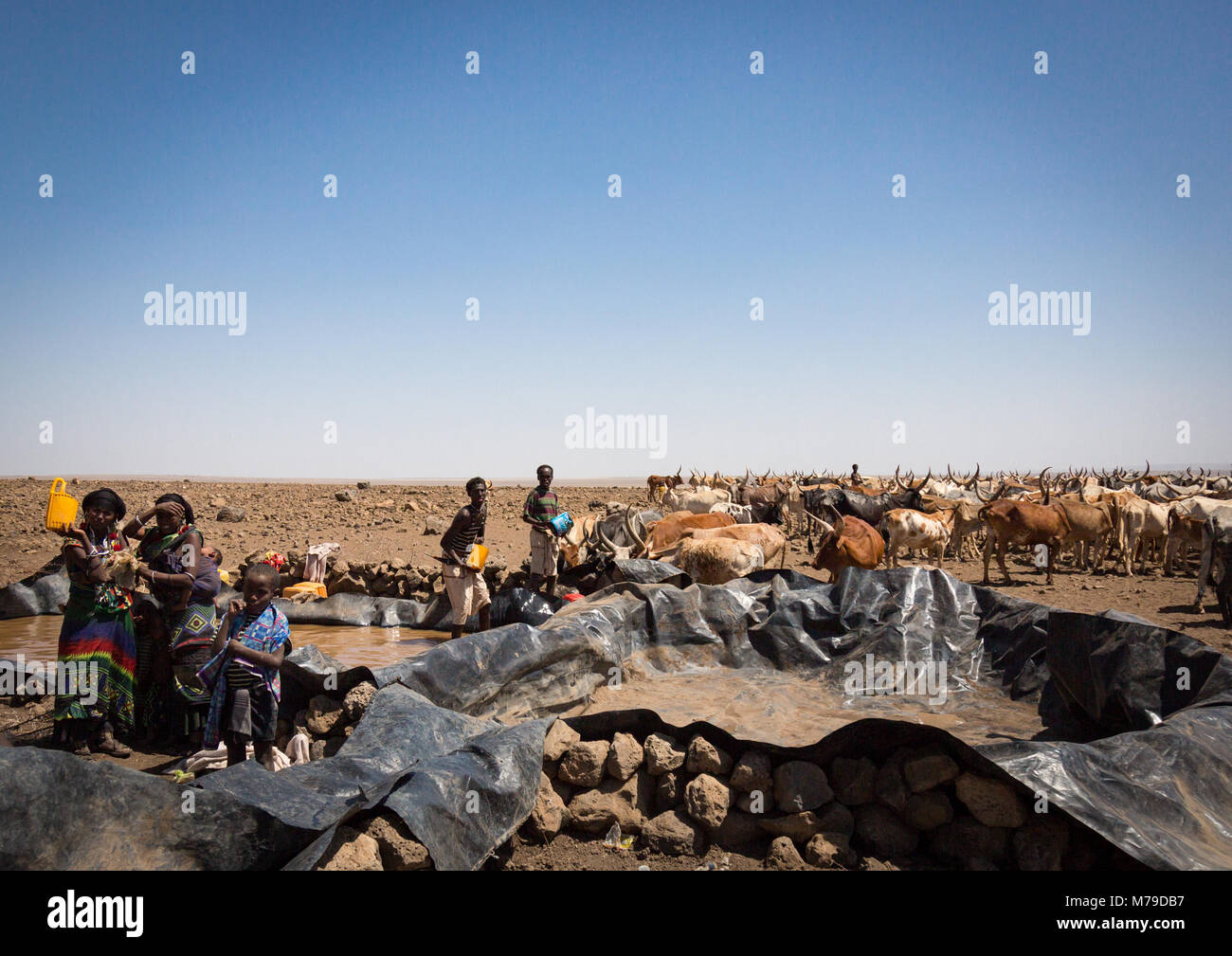 Population somalienne à la collecte de l'eau dans un réservoir dans le désert, loin région Le parc national de Yangudi rassa, Éthiopie, Banque D'Images