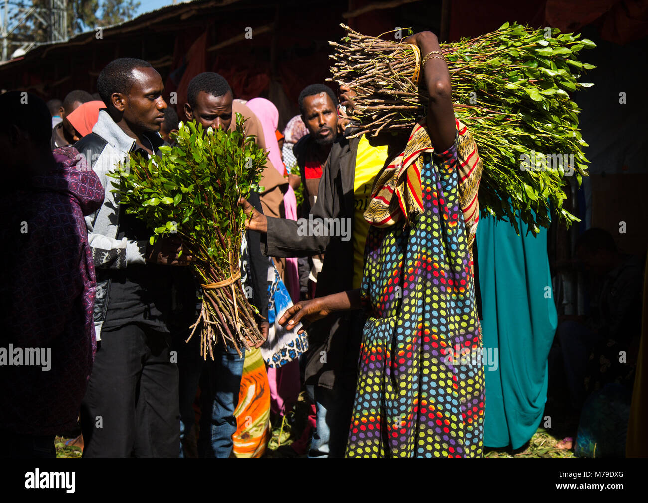 Khat le khat awaday en trading marché près de Harar, la capitale mondiale du khat, Harari, région de l'Éthiopie, Awaday Banque D'Images