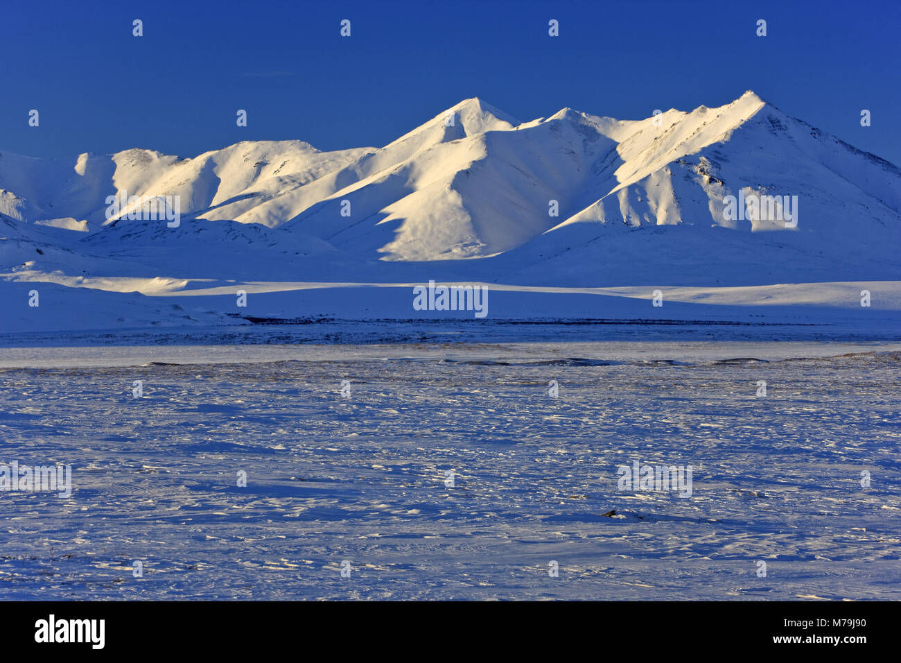 Amérique du Nord, les États-Unis, l'Alaska, au nord de l'Alaska, James Dalton Highway, versant nord, paysage d'hiver, Brooks, Banque D'Images