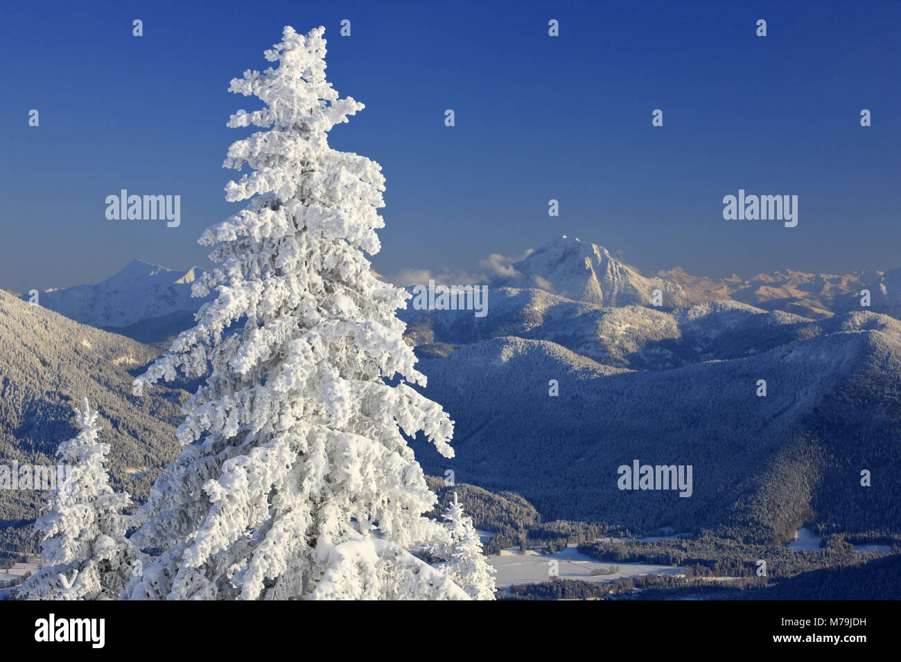 Allemagne, Berlin, Isarwinkel, Brauneck, paysage d'hiver, Guffert,H369H368:H371 Banque D'Images