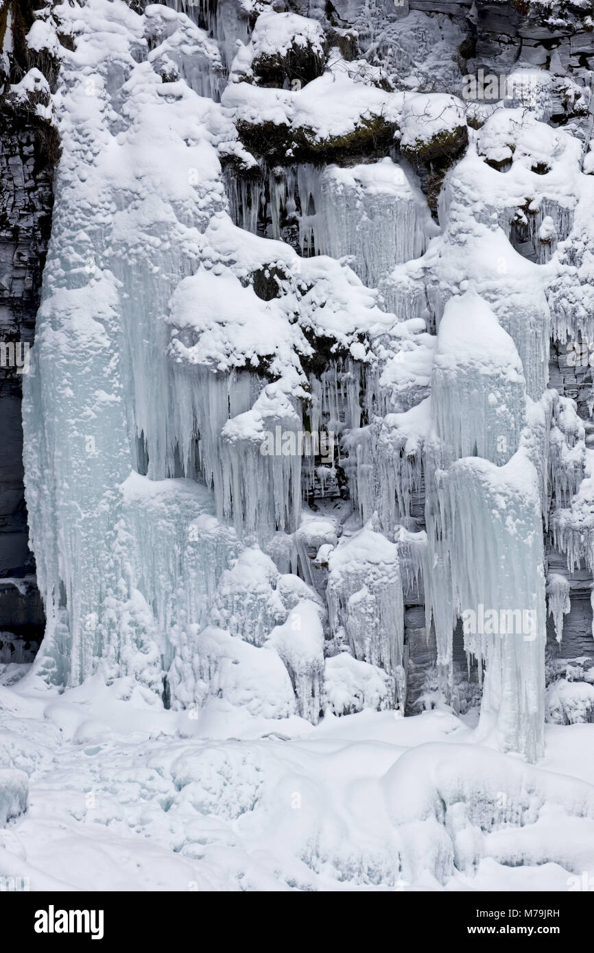 La Suède, au nord de la Suède, Laponie, Abisko canyon, Banque D'Images