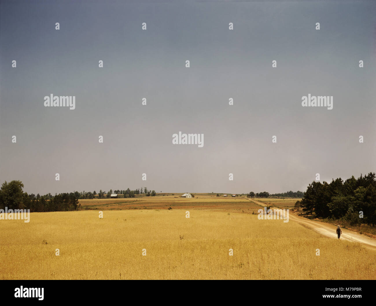 Paysage sur le Jackson ferme, aux environs de White Plains, New York, USA, Jack Delano pour Farm Security Administration - Bureau de la guerre de l'information, juin 1941 Banque D'Images