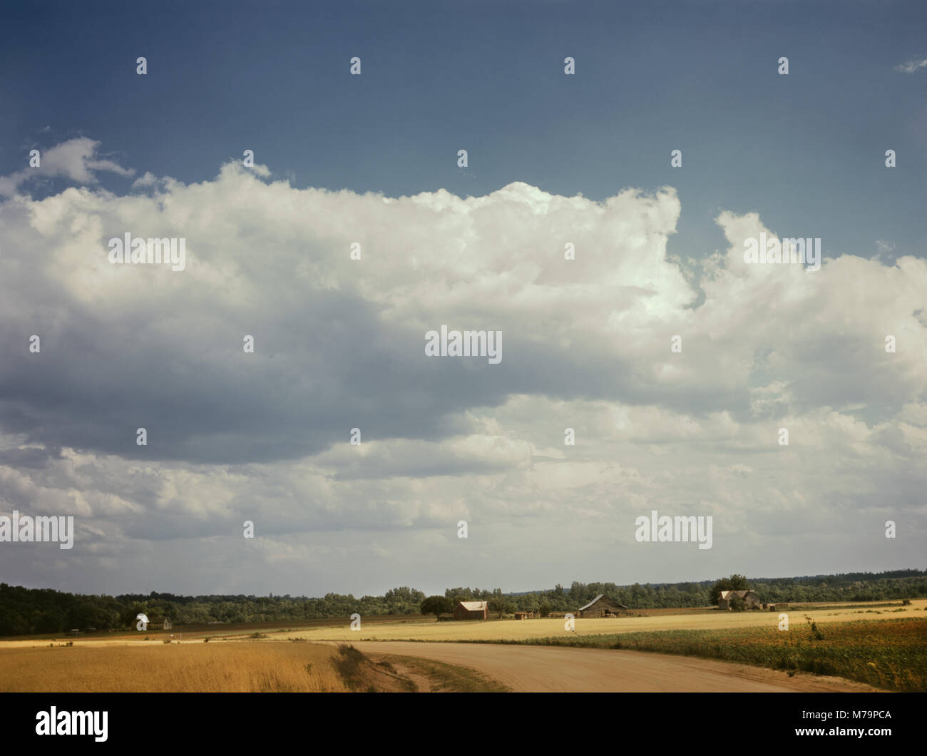 Paysage sur le Jackson ferme, aux environs de White Plains, New York, USA, Jack Delano pour Farm Security Administration - Bureau de la guerre de l'information, juin 1941 Banque D'Images