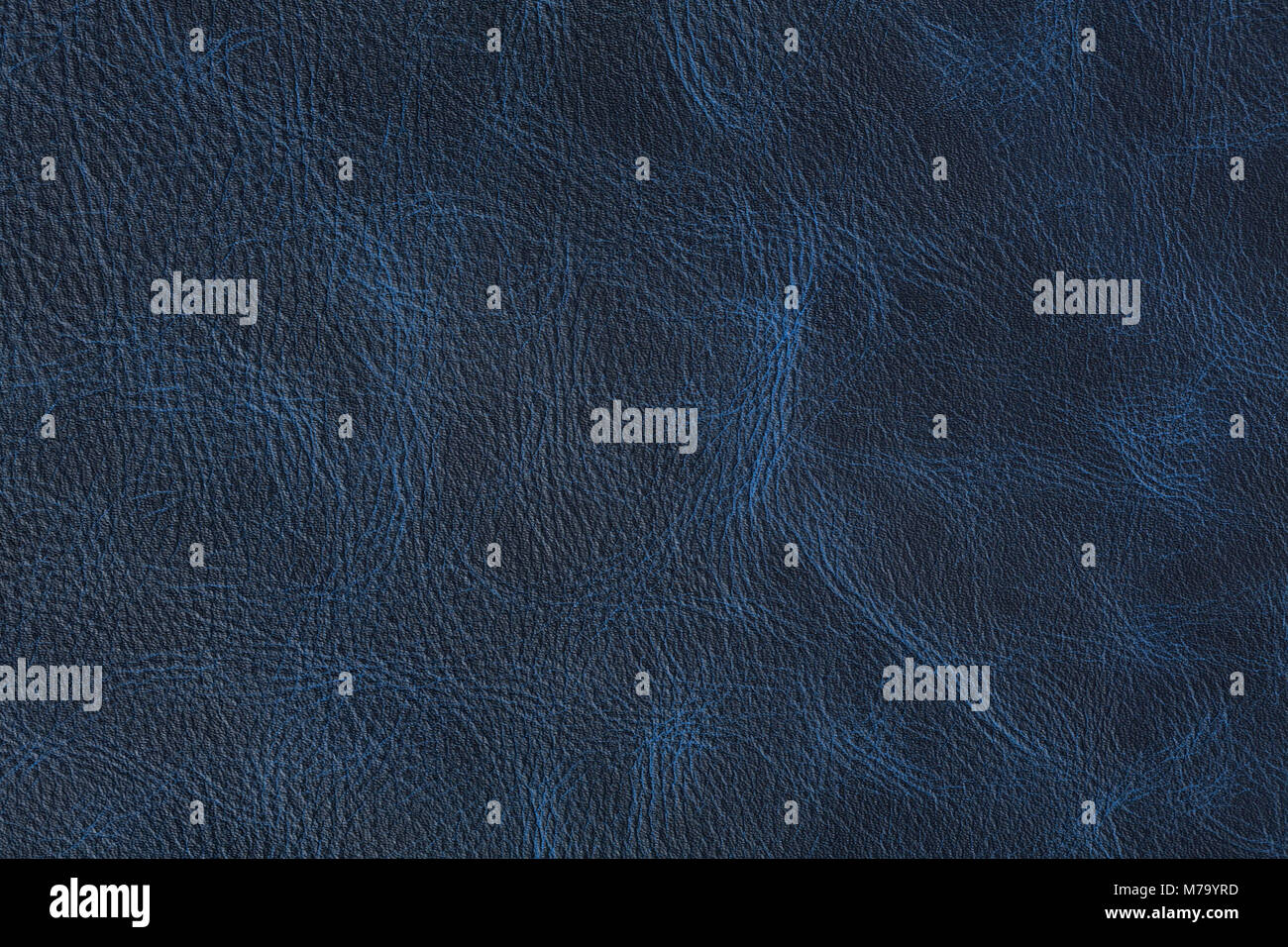 La texture de cuir vintage bleu foncé sur macro. Banque D'Images