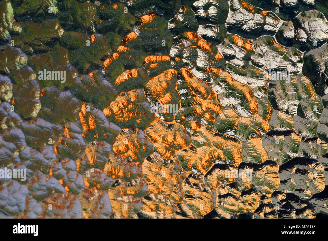 Des lumières colorées montrant par le biais de verre translucide, 1972 Banque D'Images