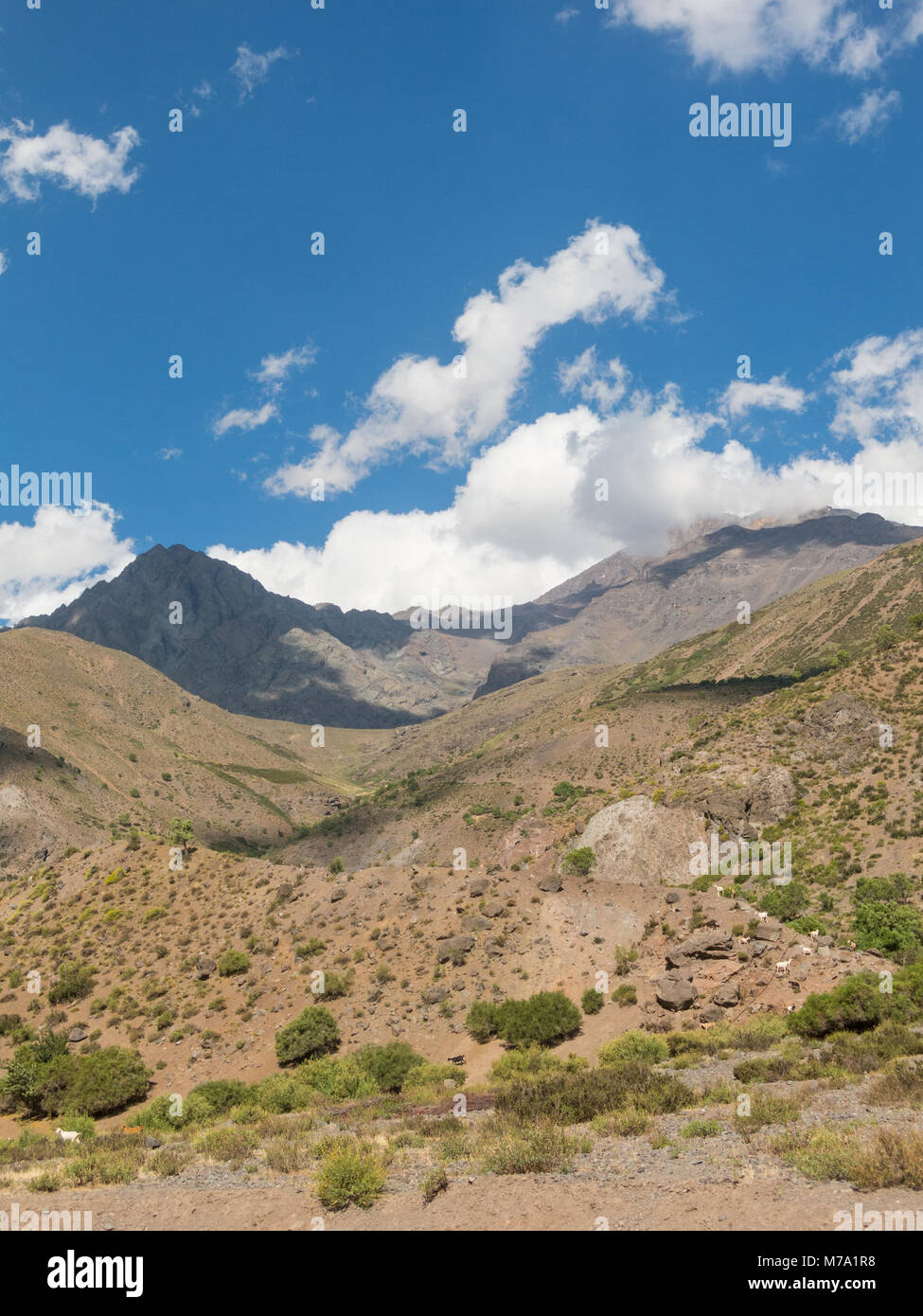 Cajón del Maipo. Maipo Canyon, un canyon situé dans les Andes. Le Chili. Près de la capitale Santiago. Il offre de magnifiques paysages. Banque D'Images